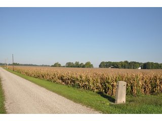 Property photo 4 - 220.9 +/- Acres Offered in 5 Tracts - Farmland Auction